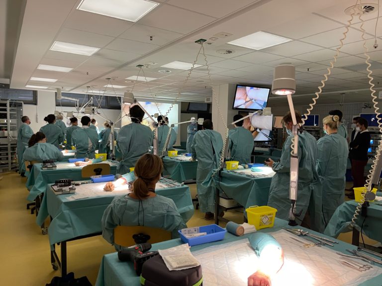 Photothèque - 5 sur 16